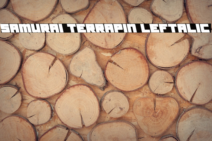 Samurai Terrapin Leftalic Schriftart examples