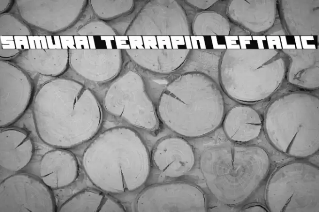Samurai Terrapin Leftalic Font examples