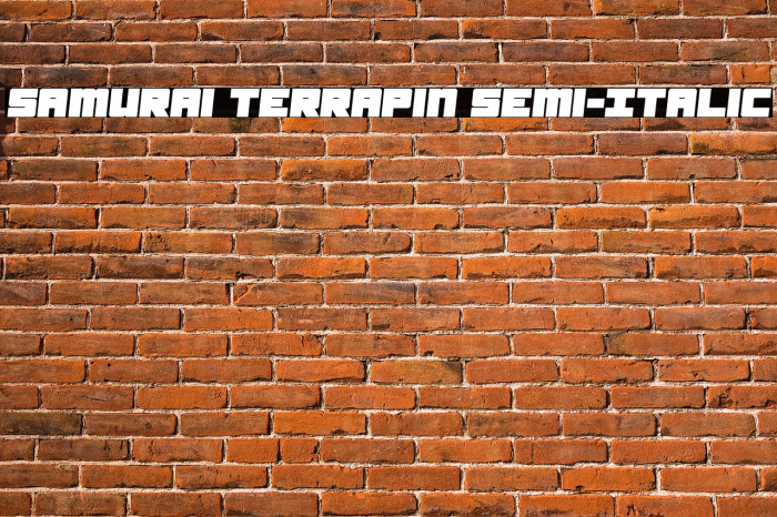 Samurai Terrapin Semi-Italic Font examples