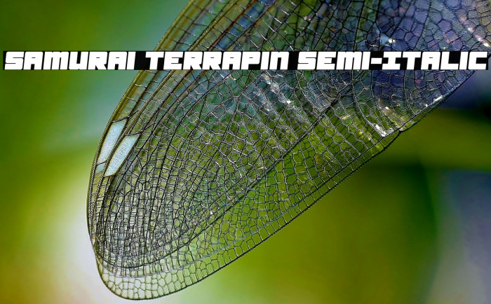 Samurai Terrapin Semi-Italic Font examples