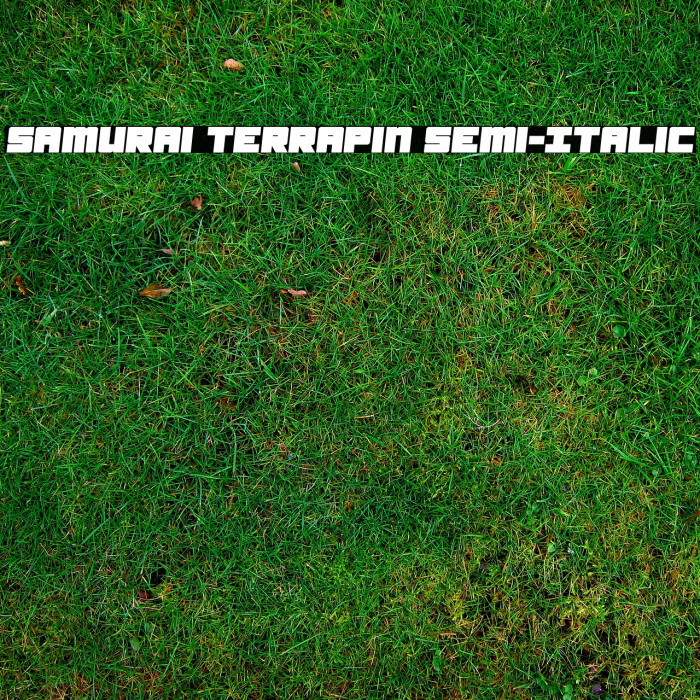Samurai Terrapin Semi-Italic Font examples