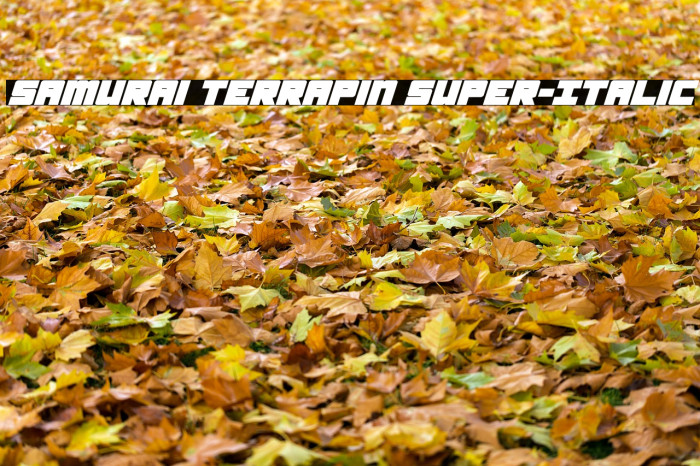 Samurai Terrapin Super-Italic Schriftart examples