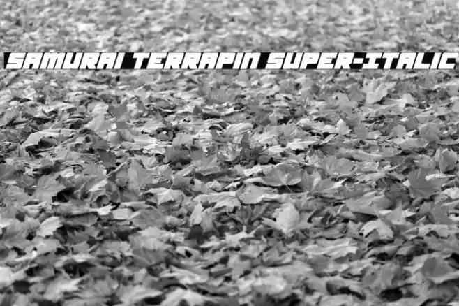 Samurai Terrapin Super-Italic Font examples