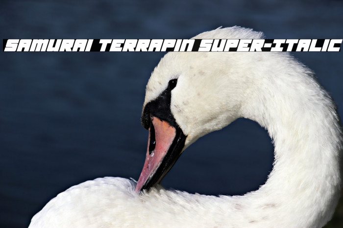 Samurai Terrapin Super-Italic Schriftart examples