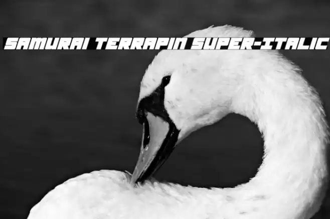 Samurai Terrapin Super-Italic Font examples