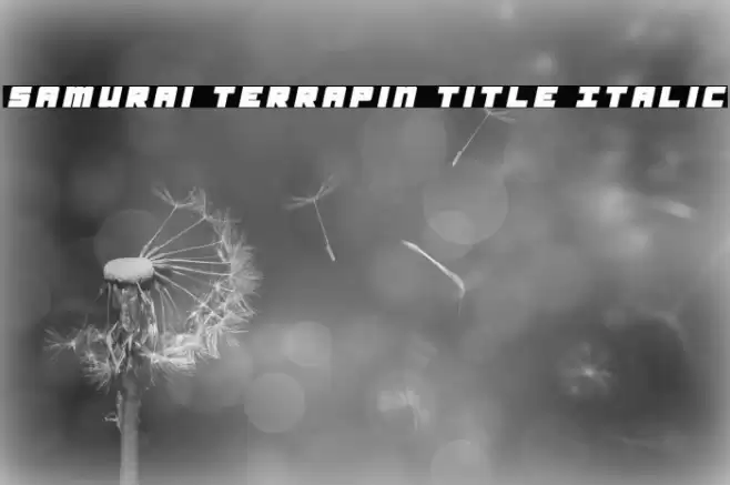 Samurai Terrapin Title Italic Font examples