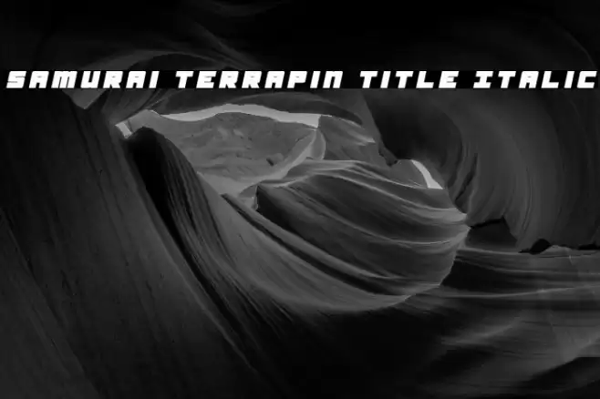 Samurai Terrapin Title Italic Font examples