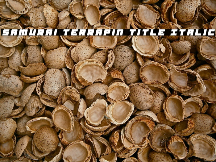 Samurai Terrapin Title Italic Font examples