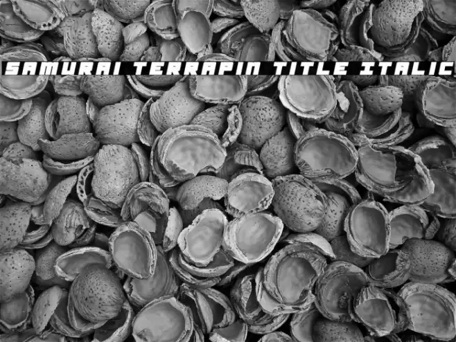 Samurai Terrapin Title Italic Font examples