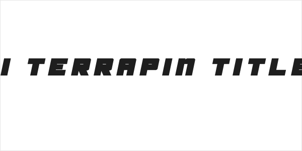 Samurai Terrapin Title Italic Logo