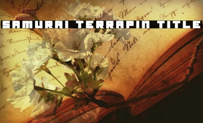 Samurai Terrapin Title Example 1