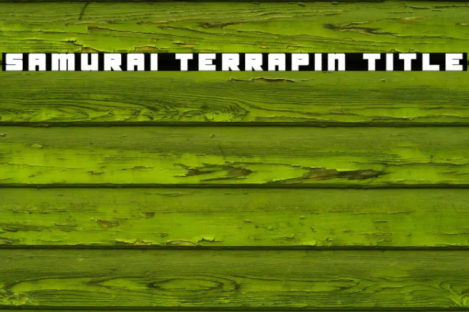 Samurai Terrapin Title Example 2