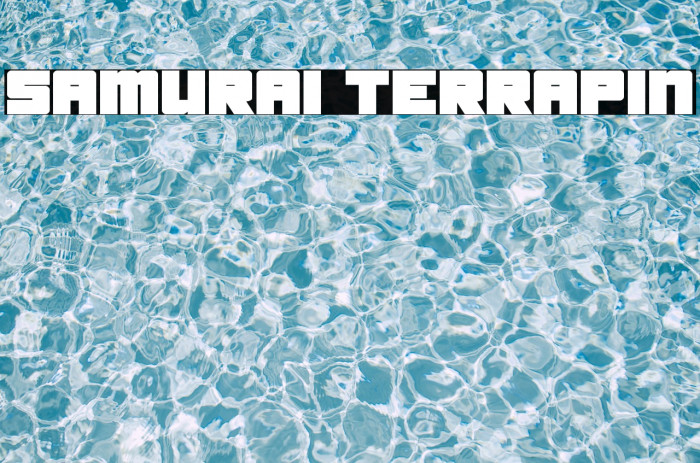 Samurai Terrapin Font examples