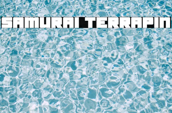 Samurai Terrapin Example 1
