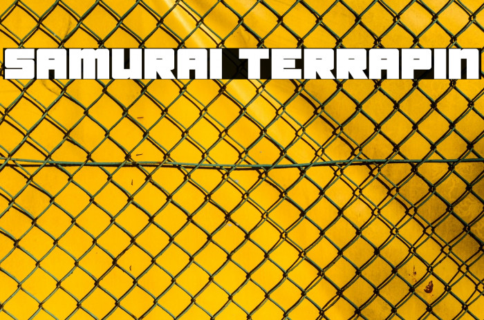 Samurai Terrapin Font examples