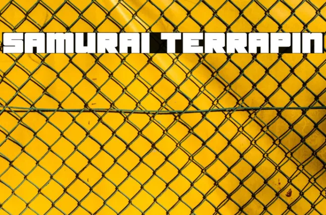 Samurai Terrapin Example 2