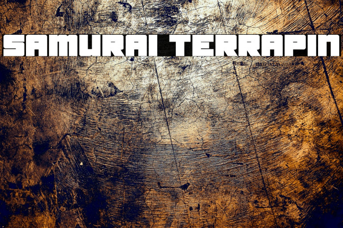 Samurai Terrapin Font examples
