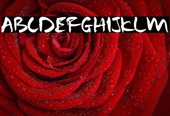 Samurai Warrior Example 1