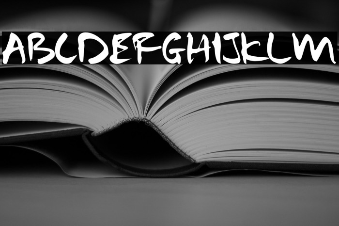 Samurai Warrior Example 2