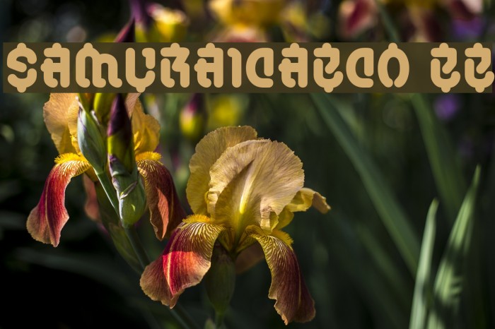 SamuraiCabCo BB Font examples