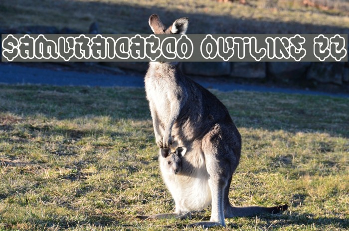SamuraiCabCo Outline BB Font examples