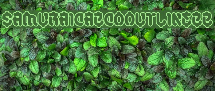 SamuraiCabCoOutlineBB Example 1