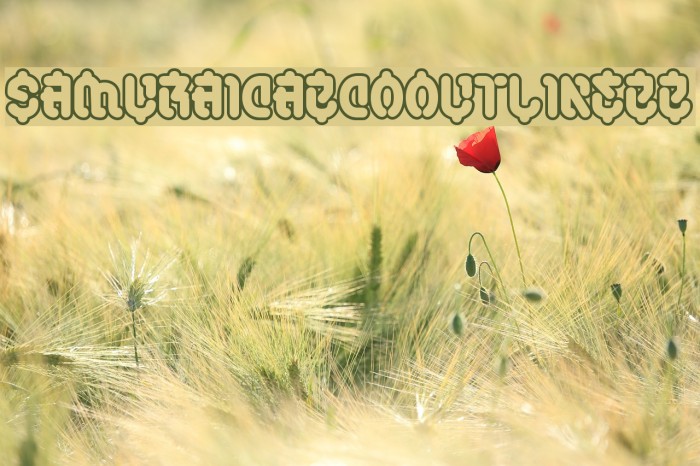 SamuraiCabCoOutlineBB Example 3