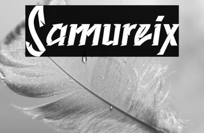 Samureix Font examples