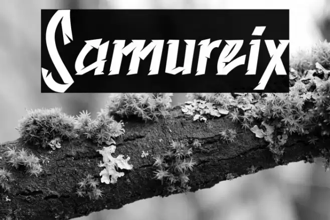 Samureix Font examples