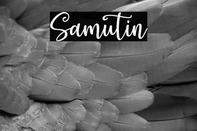 Samutin Font examples