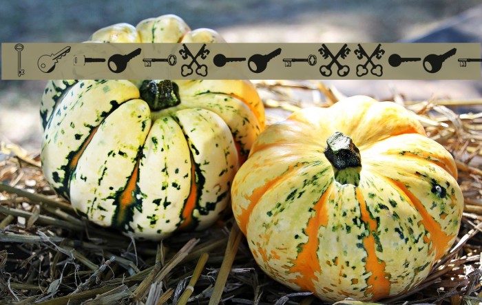 Samys Keys'N'Keys Example 2