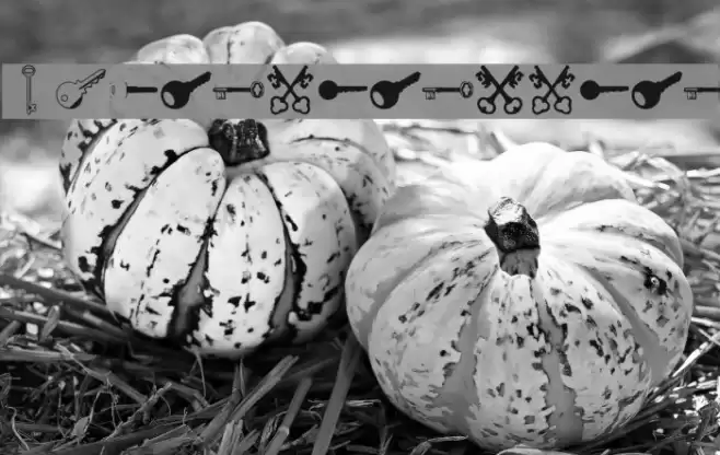 Samys Keys'N'Keys Font examples