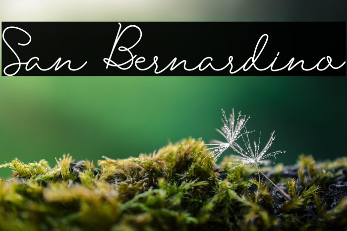 San Bernardino Example 1