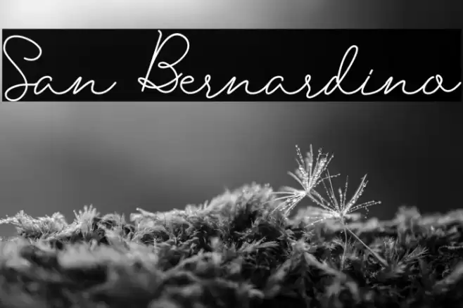 San Bernardino Font examples