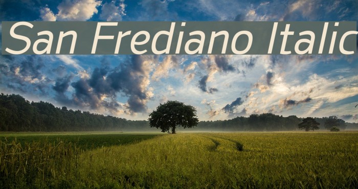 San Frediano Italic Fonte examples