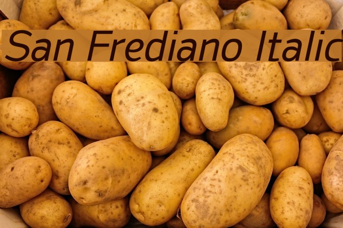 San Frediano Italic Fonte examples