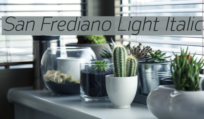 San Frediano Light Italic Font examples