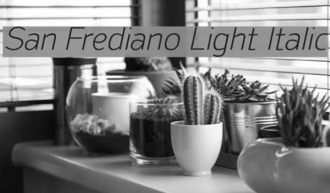 San Frediano Light Italic examples