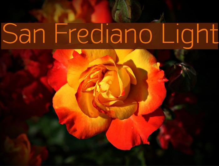 San Frediano Light Font examples