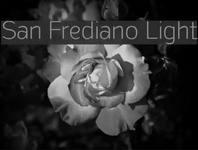 San Frediano Light Шрифта examples