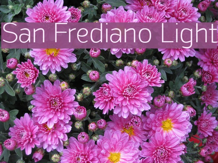 San Frediano Light Font examples