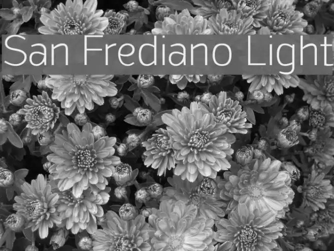 San Frediano Light Шрифта examples