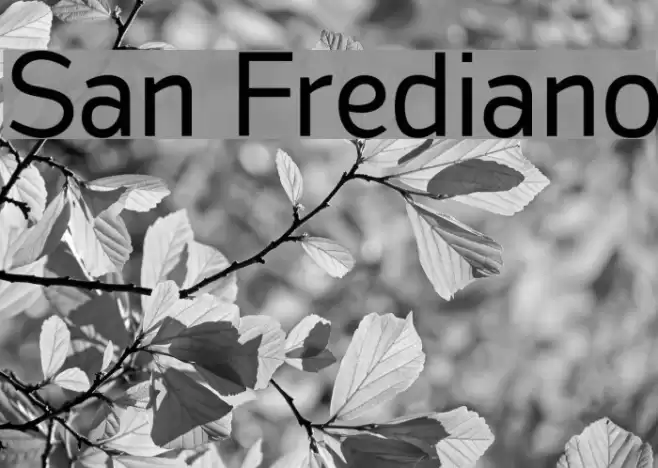San Frediano Font examples