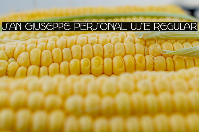 San Giuseppe PERSONAL USE Regular Example 2