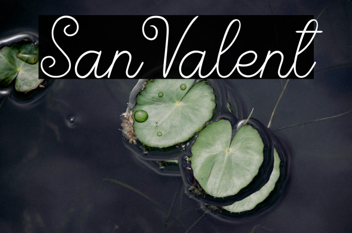 San Valent Example 1