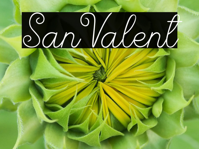 San Valent Example 3