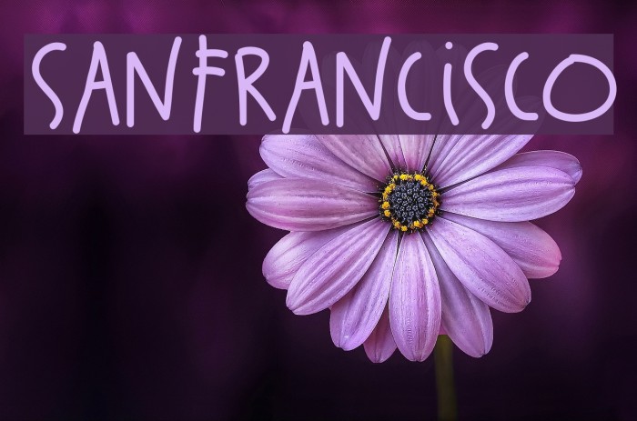 SanFrancisco Font examples