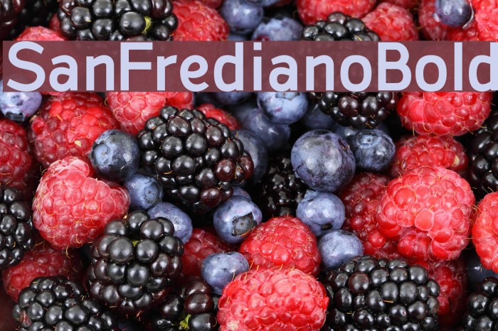 SanFrediano-Bold Font examples