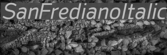 SanFrediano-Italic Font examples