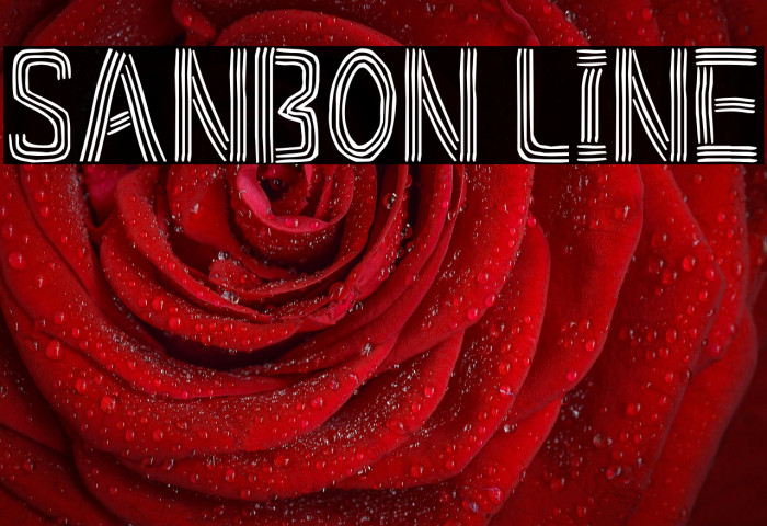 Sanbon Line Example 1